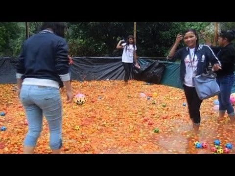 India's first La Tomatina festival
