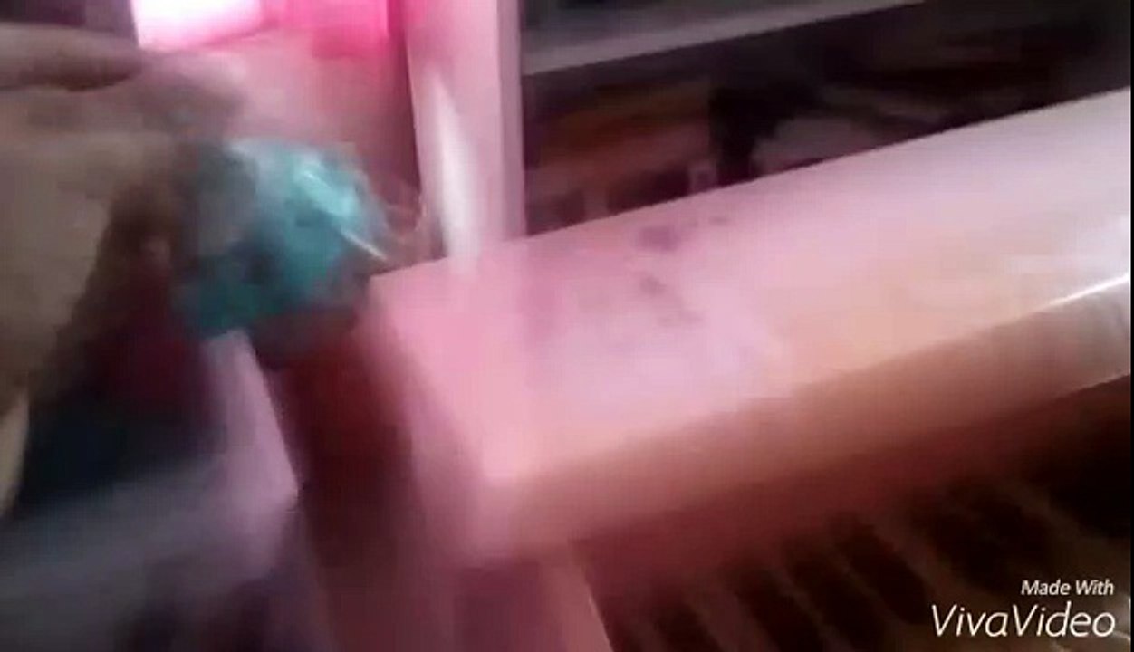 Experience the world with  shopkins !