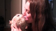 Dog French Kisses Cute Girl to Death