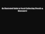 Read Books An Illustrated Guide to Fossil Collecting (Fossils & Dinosaurs) ebook textbooks