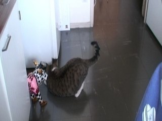 Filipine délire avec 1 boule Quies