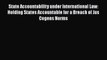 Read State Accountability under International Law: Holding States Accountable for a Breach