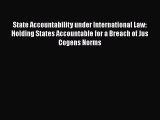 Read State Accountability under International Law: Holding States Accountable for a Breach