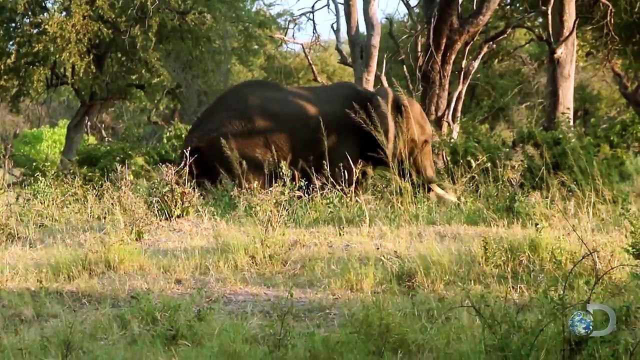 Survivalist Hits the Food Jackpot | Naked and Afraid
