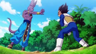 VEGETA vs BEERUS SAMA GO!!!