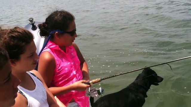 Dog Jumps In To Help Catch A Fish