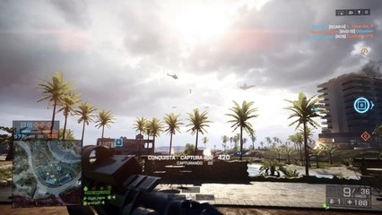 Mais um passaro abatido.._..