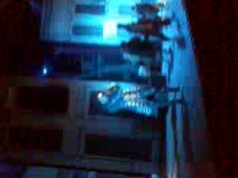 le roi soleil palais des sports