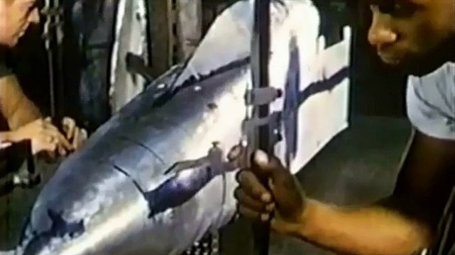 Unsealed Conspiracy Files - Americas Flying Saucer Ep22