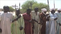 تشاد تشكل مجموعات قروية لملاحقة بوكو حرام