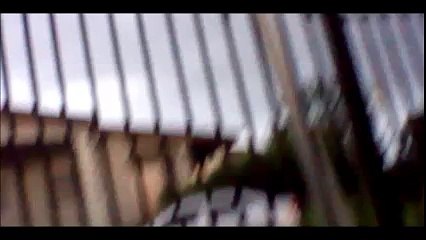 Lluvia y truenos :(