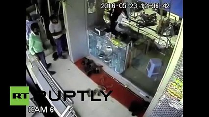 Cámara de seguridad captó a un mono robando una joyería