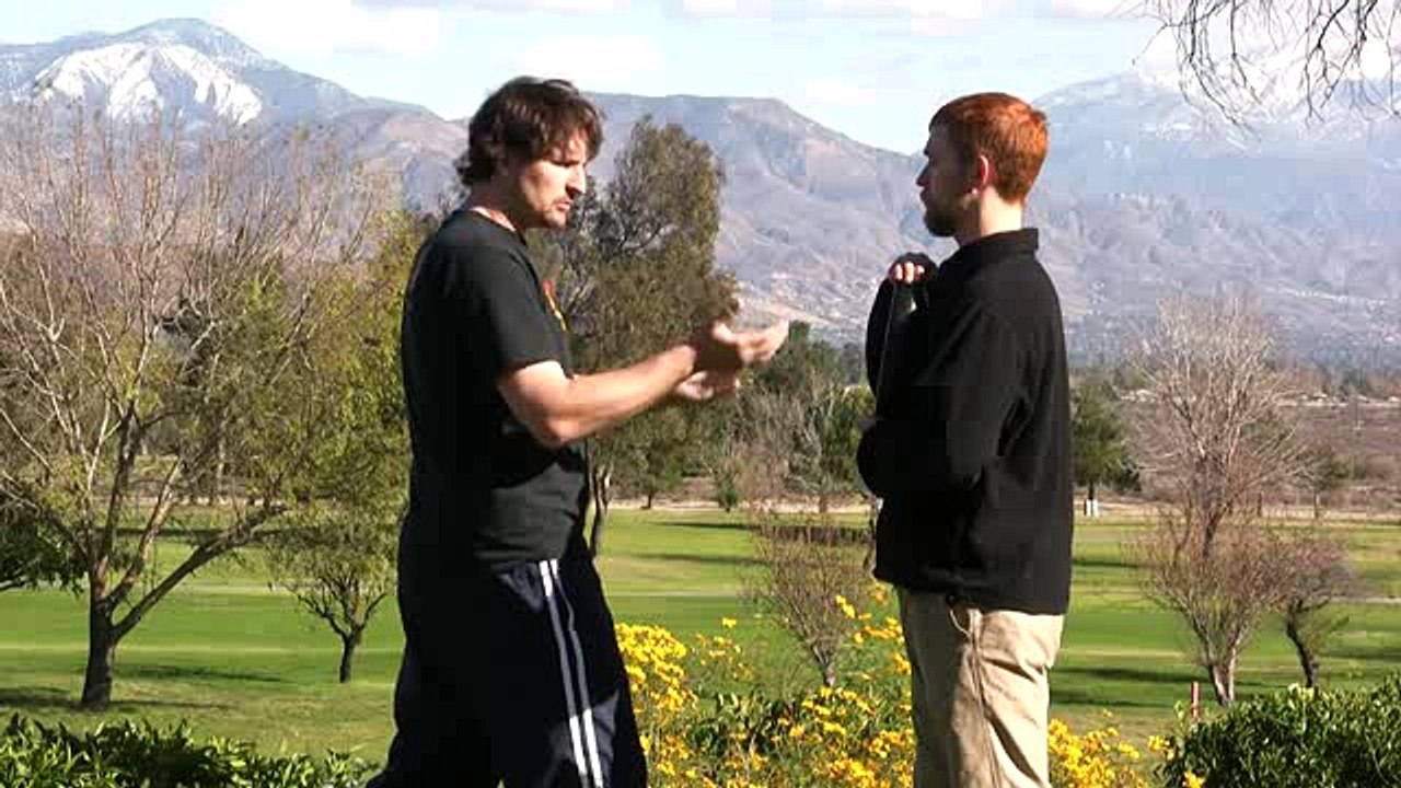 One Inch Punch Lesson