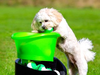 3 High-Tech Gadgets to Spoil Your Pet