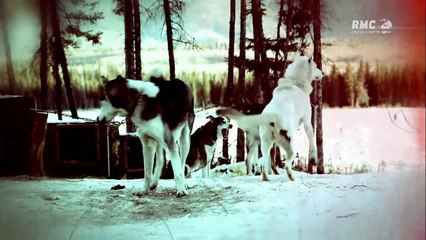 (HD) Bush alaska "une nuit sans fin" -RMC Découverte-