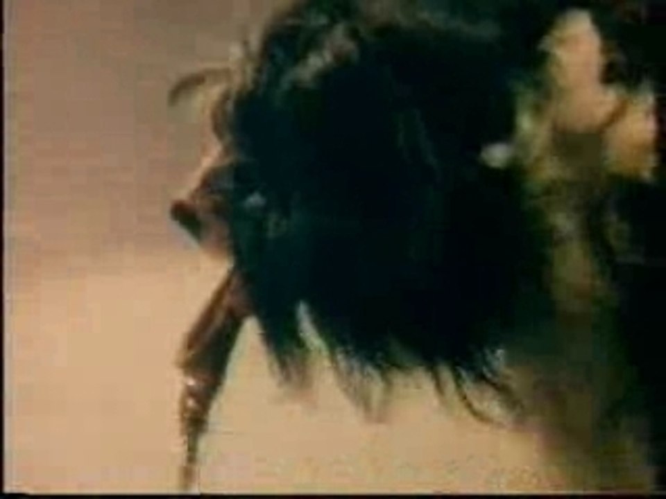 Spend More Time With Your Pet