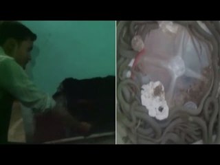 More than 150 snakes found in Uttar Pradesh house