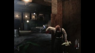 Max Payne 3 bug :D