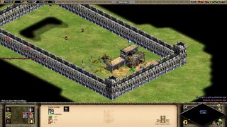 Age of Empires 2 HD Can VDML build stuff?