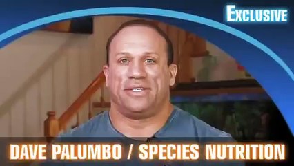 Dave Palumbo Bodybuilding Diet Tips