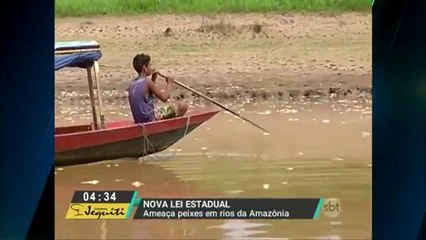 Lei aprovada no Amazonas ameaça os peixes nativos da região