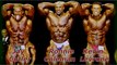 Kevin Levrone - Bodybuilding Tips To Get Big