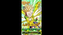 DRAGON BALL Z? (Dragonball Z Dokkan Battle)