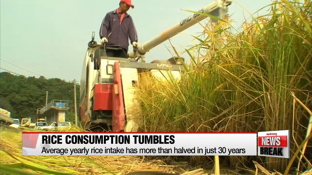 Rice consumption drops more than half in 30 years as Koreans avoid carbs