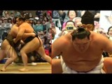 Sumo wrestlers mark spring festival in Tokyo