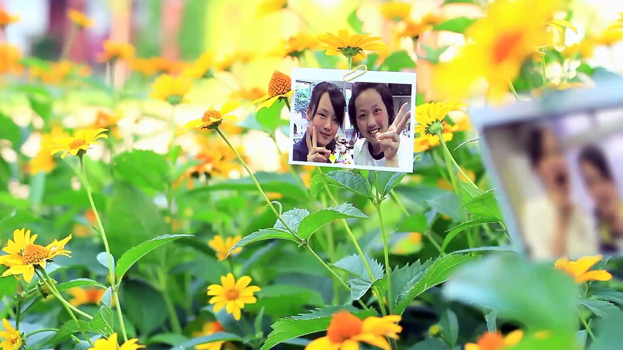 赤石家プロフィール