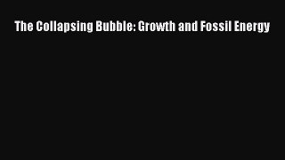 Read The Collapsing Bubble: Growth and Fossil Energy ebook textbooks