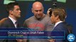 BJJ Scout: Dominick Cruz v Urijah Faber UFC 199 Preview