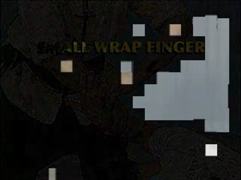 différentes clés de bras au ralenti et expliquées