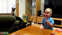Cute Babies Laughing Hysterically at Dogs ★ Funny Kids Videos Compilation 2015