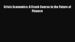Download Crisis Economics: A Crash Course in the Future of Finance Ebook Free