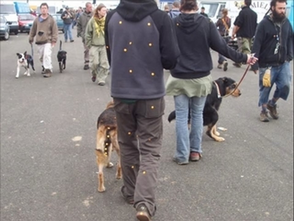 Tekos de bretagne 2007 st brieuc_0001