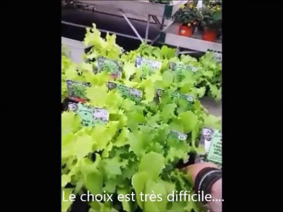 Mon jardin01