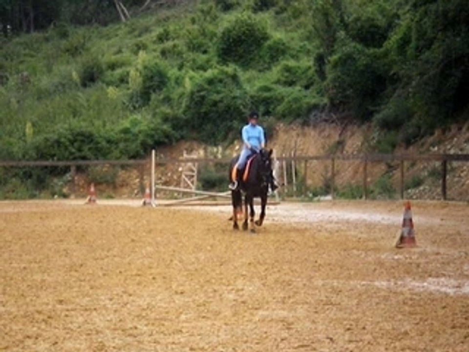 Session gauche + galop Coco & mi