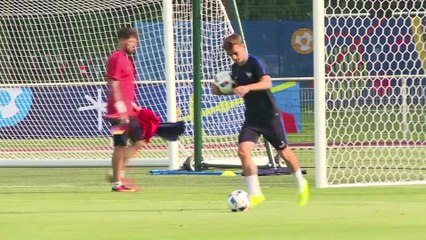 Les Bleus avant l'Euro