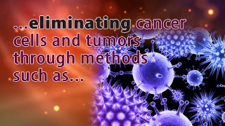 2016-05-W5 WS Natural Therapies To Support Conventional Cancer Treatment