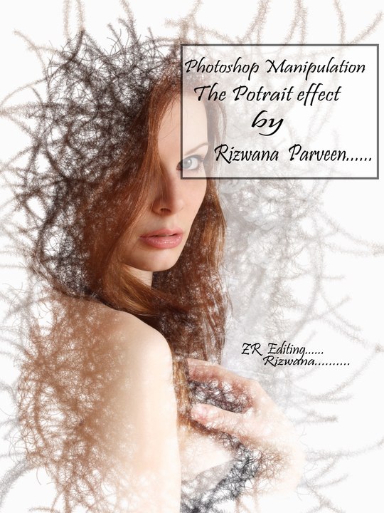 Adobe Photoshop Tutorial (The Portrait effect)