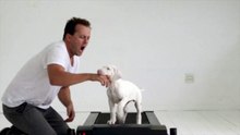 Il filme cette chienne au quotidien, la raison à cela est triste