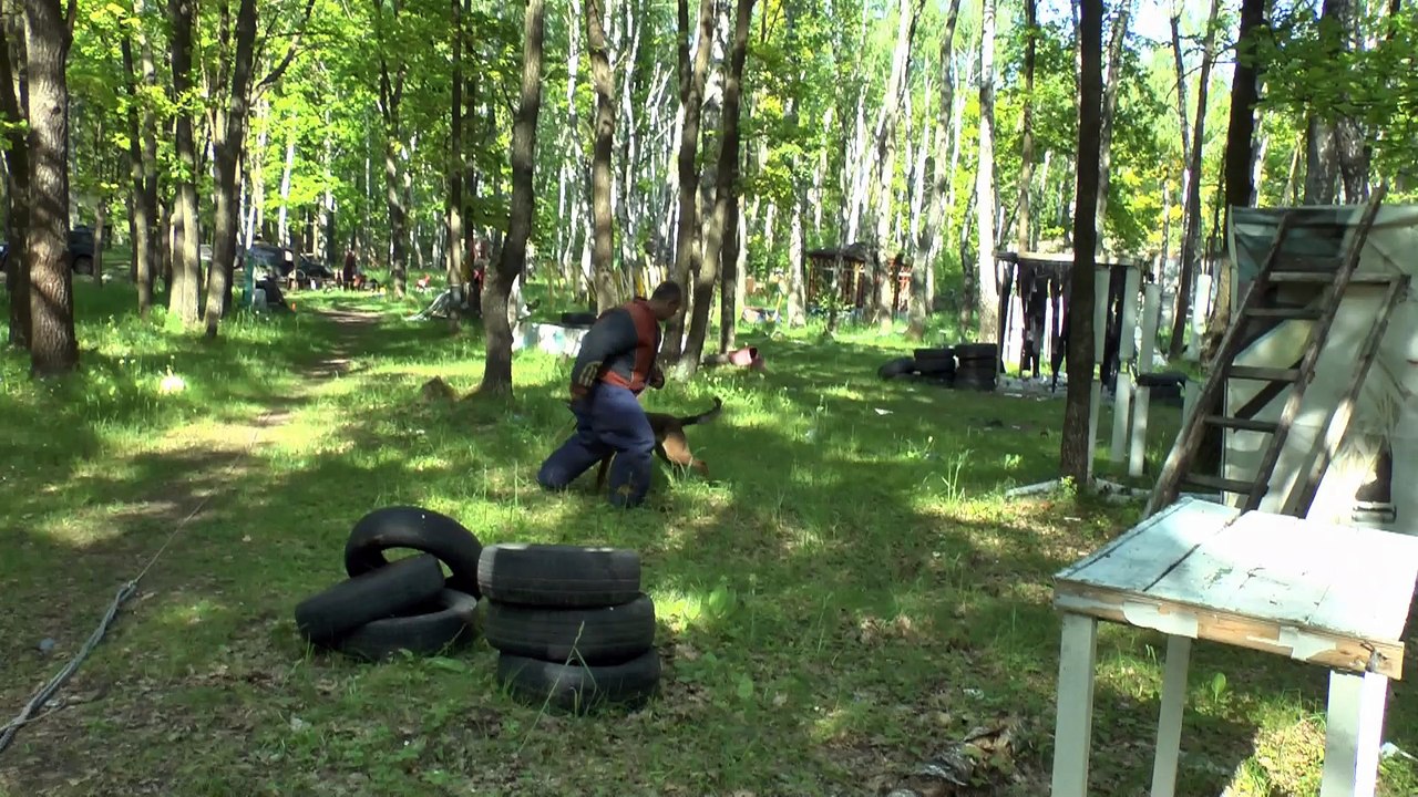 Видео с тренировок