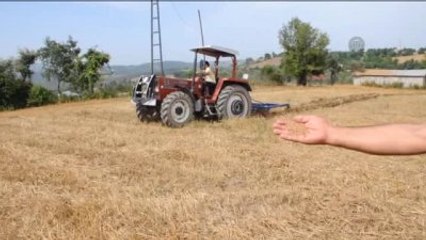 Çukurova Çiftçisinin İkinci Ürün Mesaisi - Osmaniye