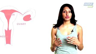 HINDI_How_to_get_pregnant