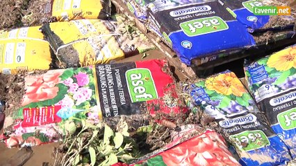 L'Avenir - Inondations à Welkenraedt : une jardinerie ravagée par 1m50 d'eau et de boue