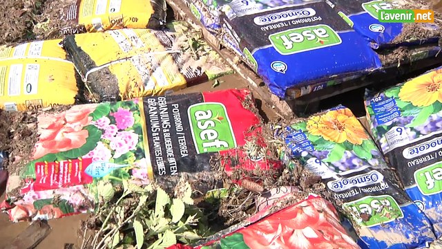 L'Avenir - Inondations à Welkenraedt : une jardinerie ravagée par 1m50 d'eau et de boue