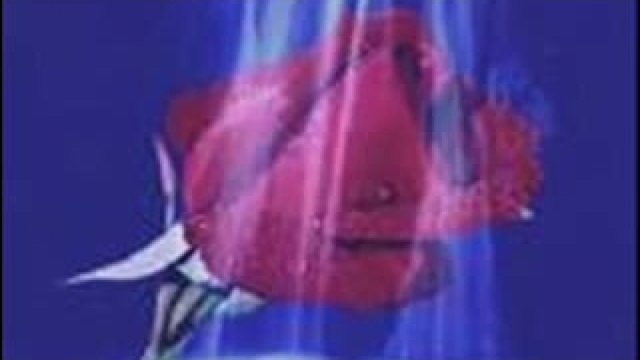 Fatih Yeşilgül Ft. Ufuk Yeşilgül - Bir Fidan Olsam Toprakta (Senle Açamam) İlk Versiyon