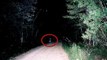 Most Haunted Forests and Woods -- Creepiest Places That Claim To Be Proof Of Ghosts