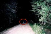 Most Haunted Forests and Woods -- Creepiest Places That Claim To Be Proof Of Ghosts